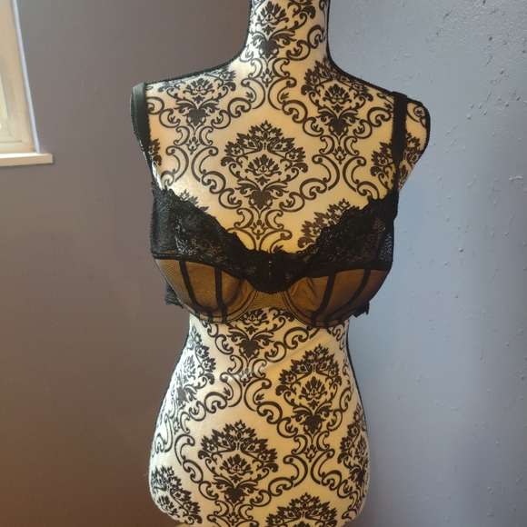 2 piece Bustier/Bra Set - Picture 6 of 11